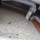 경기도 수원시 영통구 창룡대로 이미지