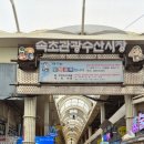속초가볼만한곳:속초관광수산시장=속초중앙시장, 술빵 생활의달인 대기시간, 만석닭강정 솔직후기,