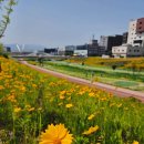 율하천자전거길 이미지