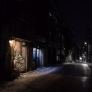 플렌트앤가든케어 이미지