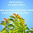 무제 이미지