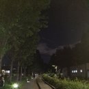 경춘선솔밭길 이미지