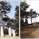 휴양림길 Daum카페