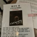 카페카타콤