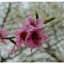 차리농장 이미지