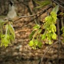 우리행정사 합동사무소 이미지