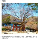 [땡처리특가] 여름향기가득한 김천! 직지사.연화지꽃밭.방초장 부항댐출렁다리..여행공지 이미지