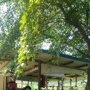 갑부목장 이미지