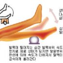 발목 펌프운동은 만병(萬病)을 통치(通治)한다 이미지