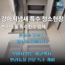 강아지냄새청소업체, 멍크린 특수청소 작업 후기