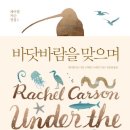 바닷바람 이미지