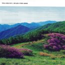 주천면 고촌마을 이미지