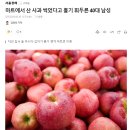 마트에서 산 사과 썩었다고 흉기 휘두른 40대 남성 이미지