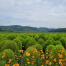 연천삼곶리돌무지무덤 이미지