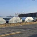 영순농장 이미지