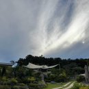 [GAJA]오리나무 정원 | 여주 미낙 Minak 내돈내산 후기 | 오리들이 돌아다니는 예쁜 정원이 있는 가족 외식하기 좋은 곳