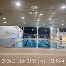 본죽&비빔밥 과천점 | [월간 운동 기록] 24년 11월 (feat. 폭설에도 나는 수영을 가지)