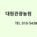 대원관광농원 이미지