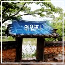 밀양여행)밀양 위양지 방문 후기｜이팝나무 절정 시기와 주차 정보