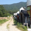 닭사랑농장 이미지