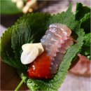 목포참홍어 이미지