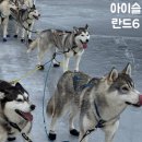 리갈안경 | [아이슬란드 링로드 10일] 북부 미바튼 호수 개썰매 후기 / 비용 필요한 장비 / 아쿠레이리 가는 길