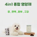 성우종합환경(주) | 강아지 종합 영양제, 직접 먹여보고 느낀 솔직 후기