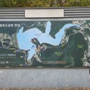 마장기사식당앞 | 마장호수 출렁다리 둘레길 코스 주차 가을 풍경