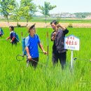 금당농장 뉴스1