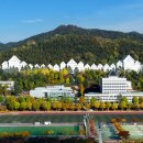 조선대학교 체육대학 이미지