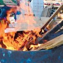 드럼통고양이 이미지