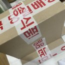 [구근 식물, 식물 스토어 추천] 큐가든 카라, 알리움 구매 후기 (내돈내산)