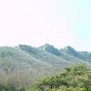 작지만 산행의 재미를 고루 갖추고 있는 이천 도드람산(09.3.1) 이미지