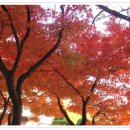 구미전자공업고등학교 이미지