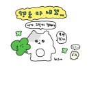 이마트24진주하대동부점 | (11.14~11.20) 주간일기 24회차 갤러리아 하반기P데이, 청첩장모임, 혼인신고, 쓱데이 셔핑으로 돈 쓰기