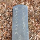 석담농장 Daum카페