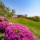 화서공원 이미지