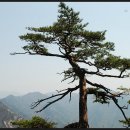 월악산정 이미지