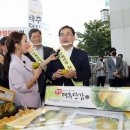 엘커머스 노컷뉴스
