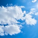 맑음그린 이미지