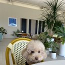 어나더랜드 이미지