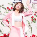 유정인삼 Daum카페