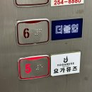 [요가뮤즈] 남포역 | 향기 테라피 아로마요가 원데이 체험 후기 (아로마 스테이)