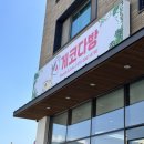 양산 물금 아이와 가볼만한 곳 게코다방 파충류 카페 후기