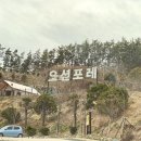 회화면사무소 | 경남 고성 최대 규모 글램핑 '오션포레' 너무 좋아요❣️