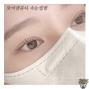 의정부역 | 모어댄뷰티 의정부역속눈썹펌 후기 | 컬 유지력부터 분위기까지 완벽