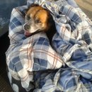 타이어세상 이미지