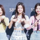 러브수아