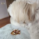 코코넛게임랜드 | 2023년 나트랑 여행일지 (이번년도는 도쿄다!!!)