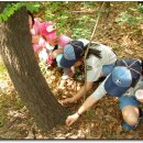삼정초등학교 이미지